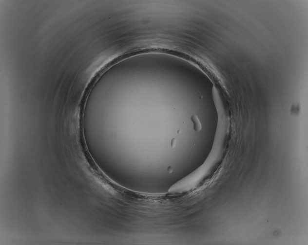 X0000091580790200708201206