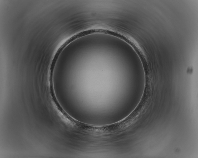 X0000091580791200708201206