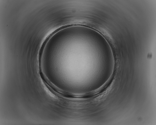X0000091580792200708201206