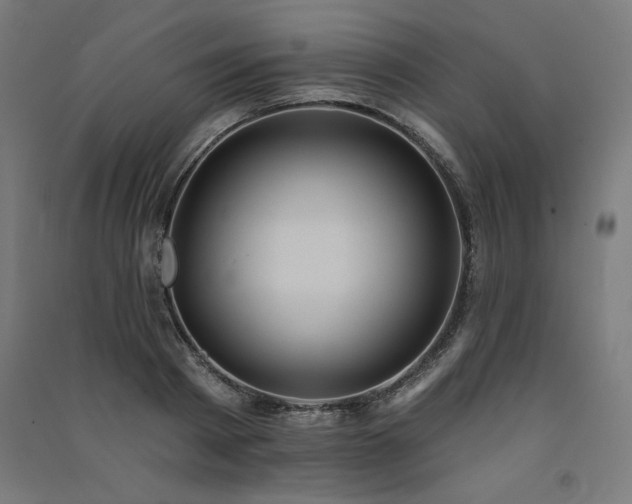 X0000091580793200708201206