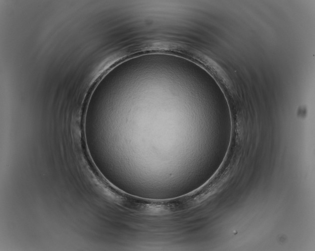 X0000091580794200708201206