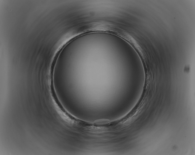 X0000091580795200708201206