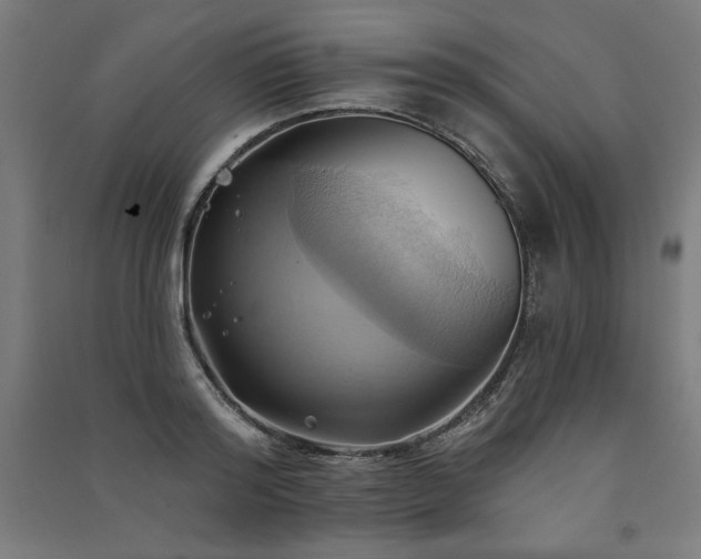 X0000091580796200708201206