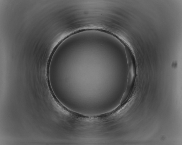 X0000091580797200708201206