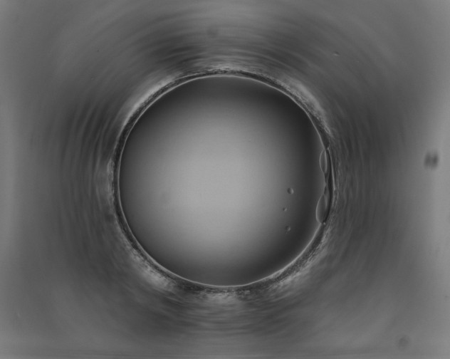 X0000091580798200708201206