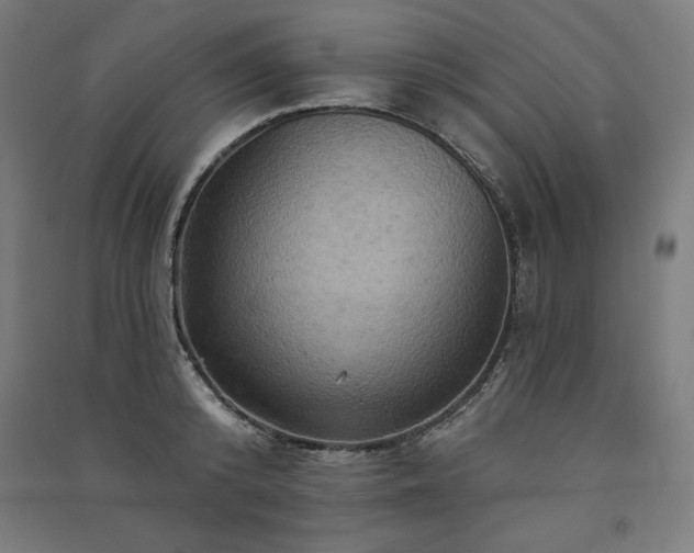 X0000091580800200708201206