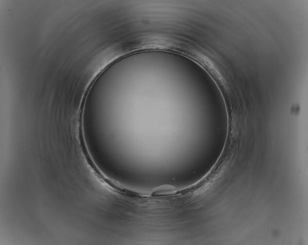X0000091580802200708201206