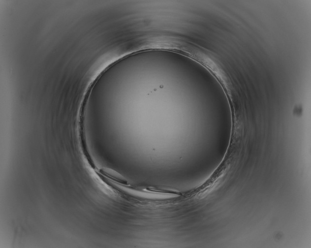 X0000091580803200708201206