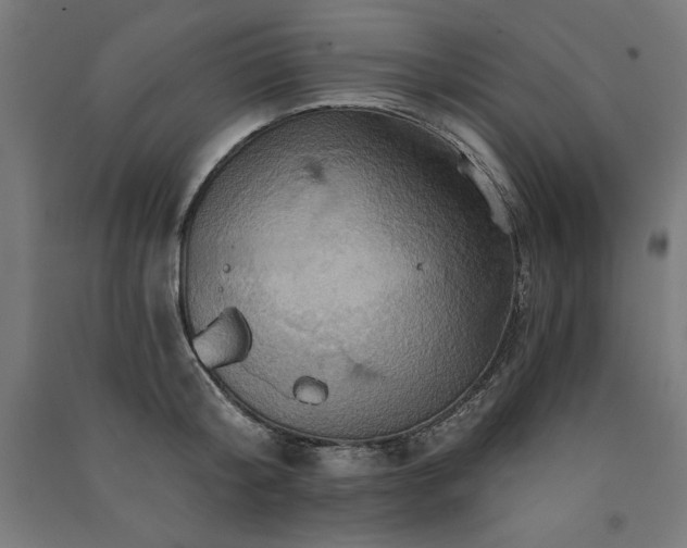 X0000091580804200708201206