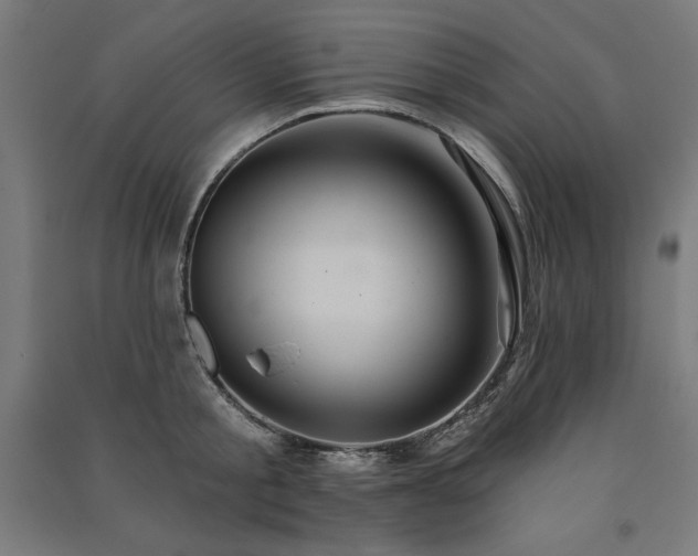 X0000091580805200708201206