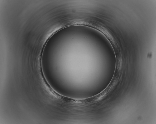 X0000091580806200708201206
