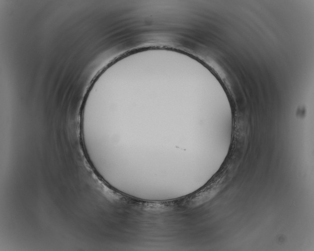 X0000091580807200708201206