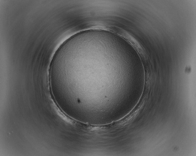 X0000091580808200708201206