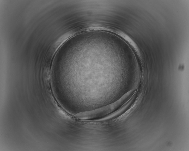 X0000091580809200708201206