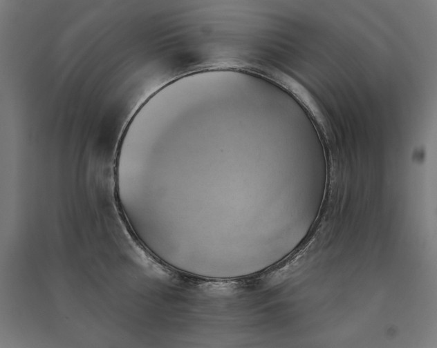 X0000091580810200708201206