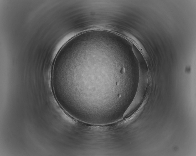 X0000091580812200708201206