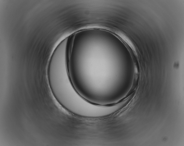 X0000091580813200708201206