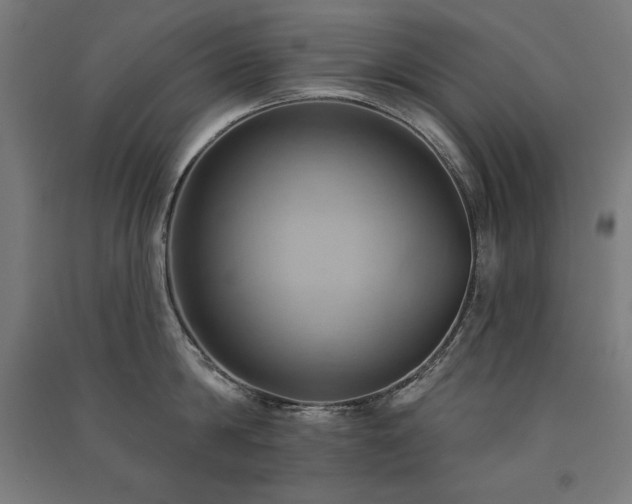 X0000091580814200708201206