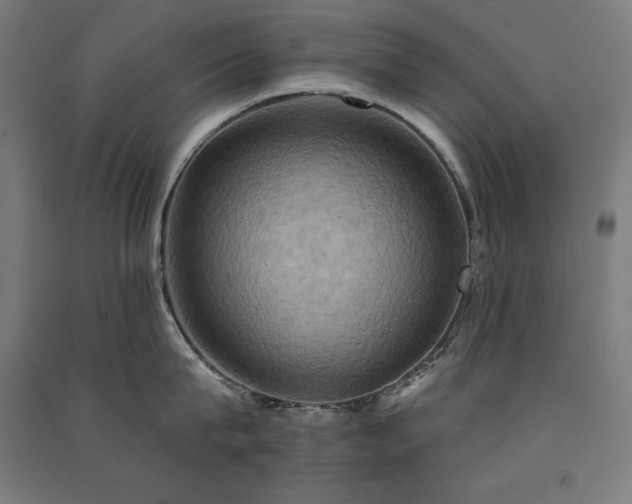 X0000091580815200708201206
