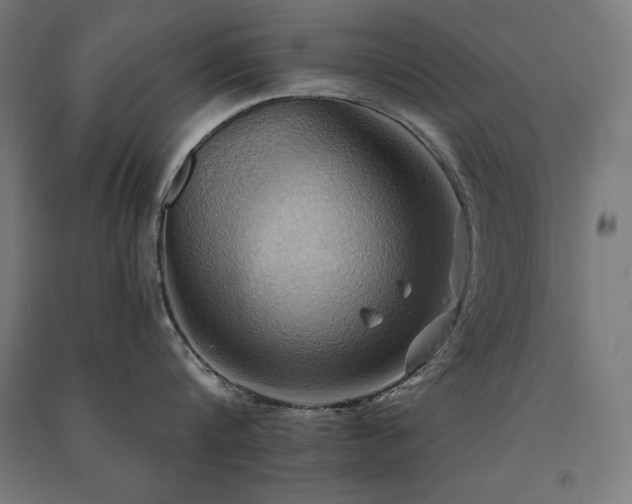 X0000091580816200708201206