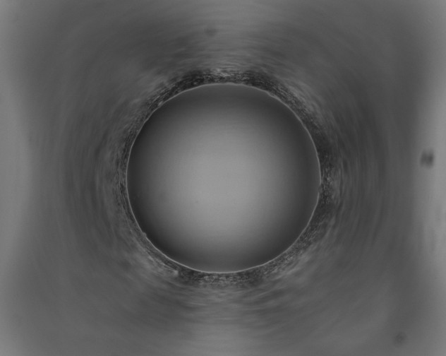 X0000091580817200708201205