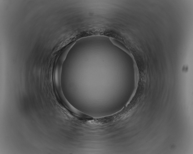X0000091580818200708201205
