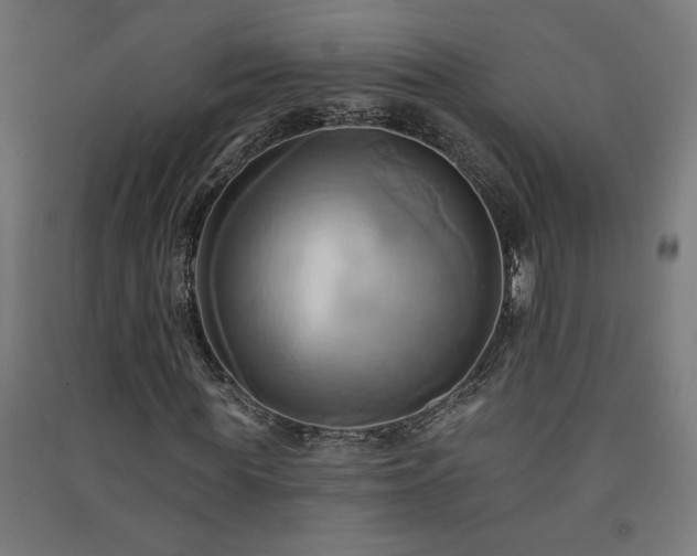 X0000091580819200708201205