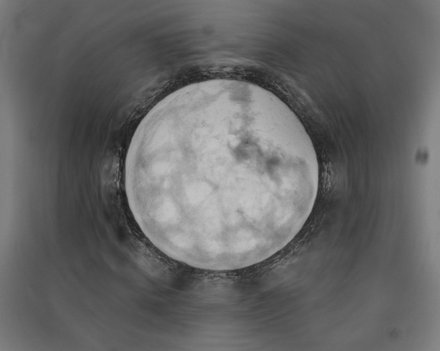 X0000091580820200708201205