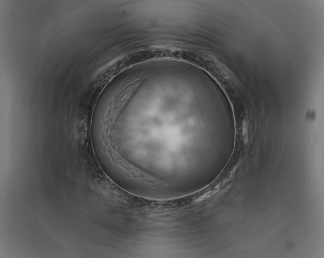 X0000091580821200708201205