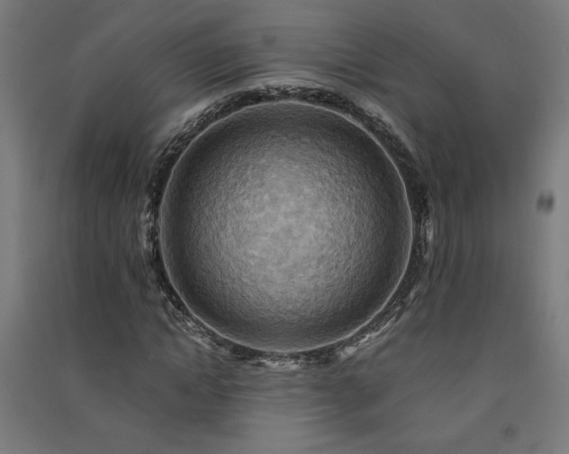 X0000091580822200708201205