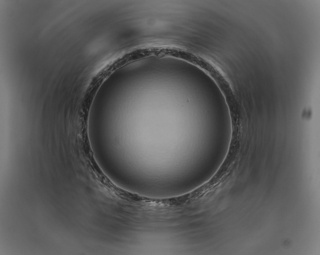 X0000091580823200708201205