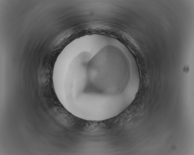 X0000091580824200708201206