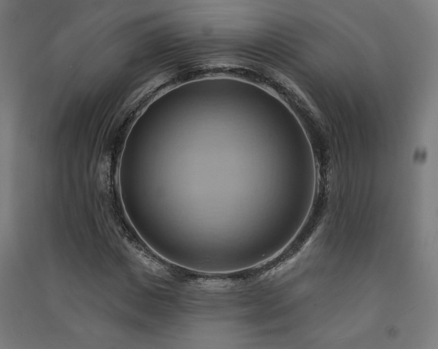 X0000091580825200708201206