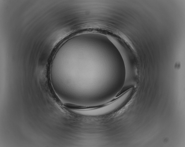 X0000091580826200708201206