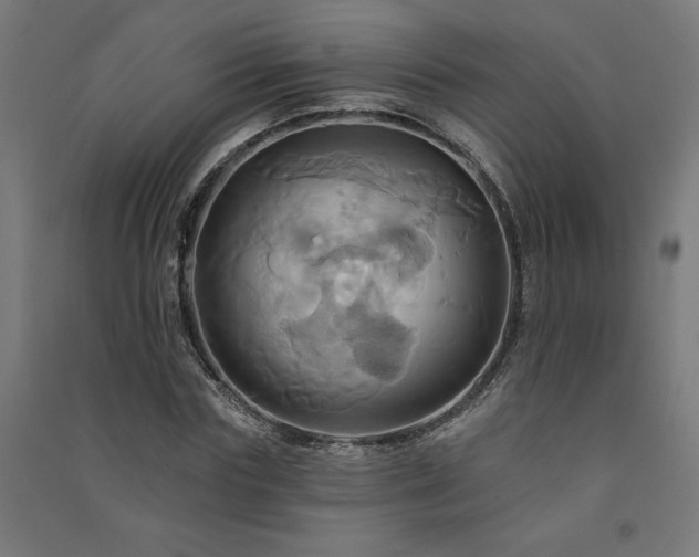 X0000091580827200708201206