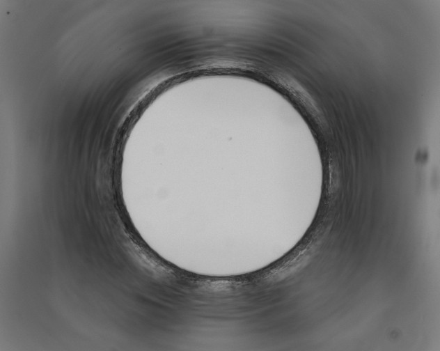 X0000091580828200708201206