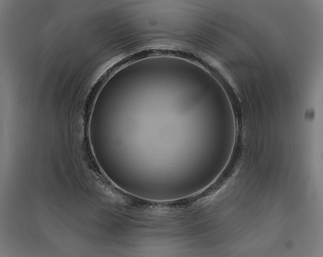 X0000091580829200708201206