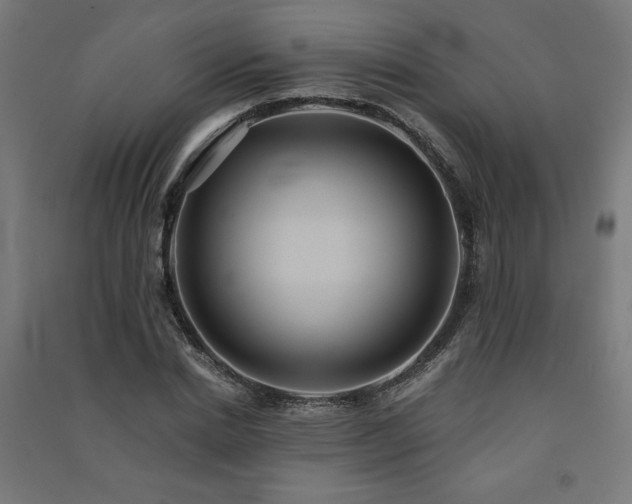X0000091580830200708201206
