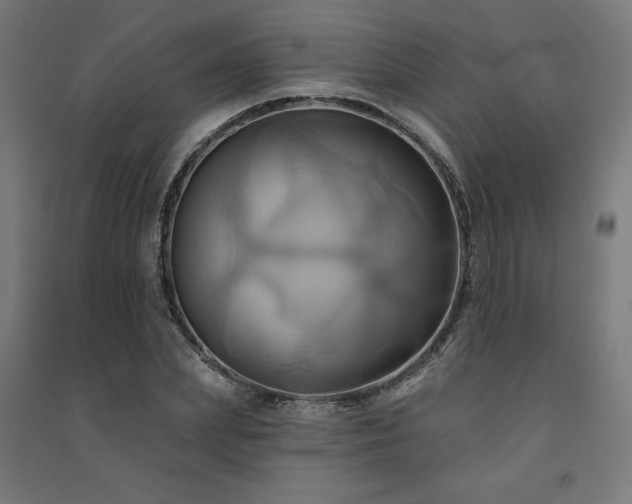X0000091580831200708201206