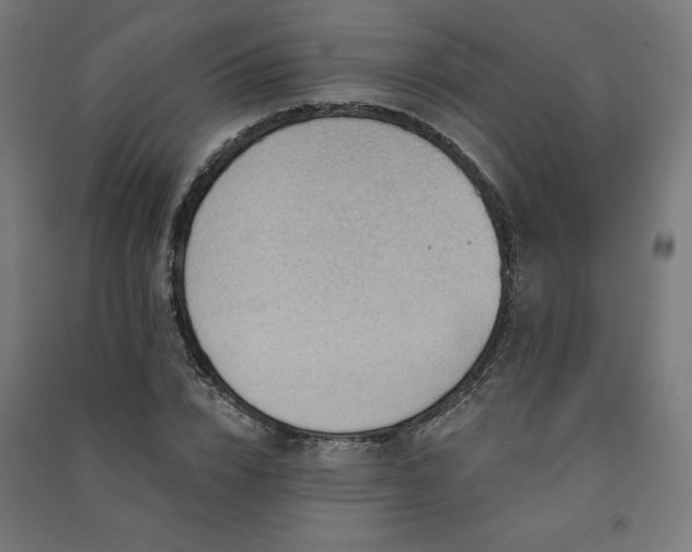 X0000091580832200708201206