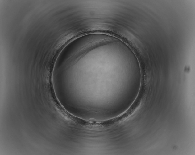 X0000091580833200708201206
