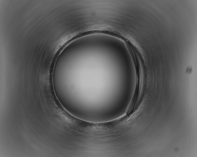 X0000091580834200708201206