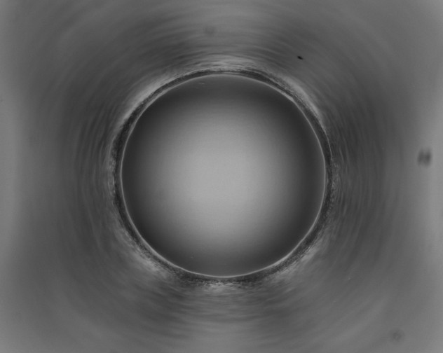 X0000091580835200708201206