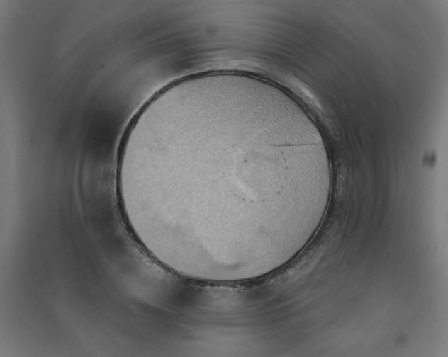 X0000091580836200708201206