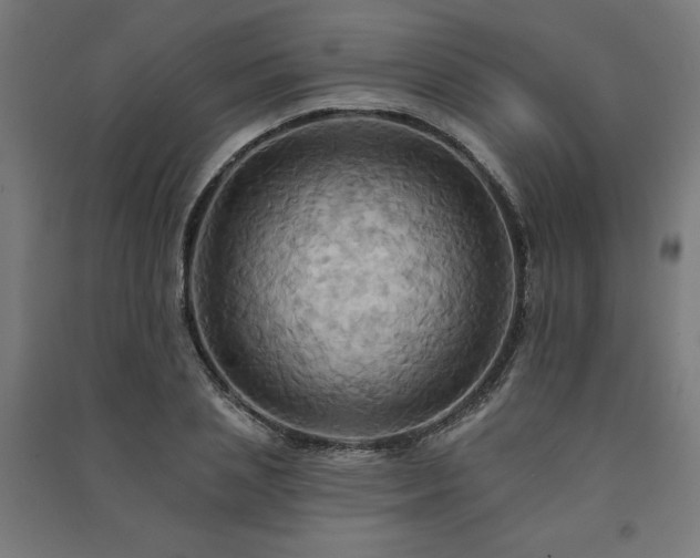 X0000091580837200708201206
