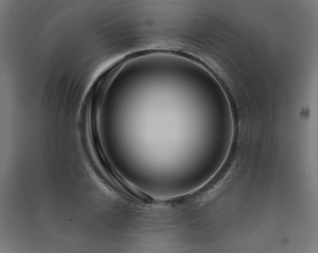 X0000091580838200708201206