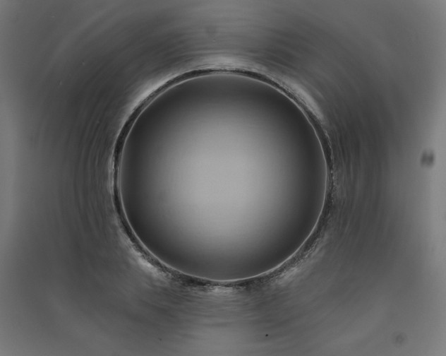 X0000091580839200708201206