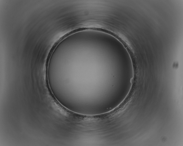 X0000091580840200708201206