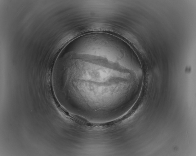 X0000091580841200708201206
