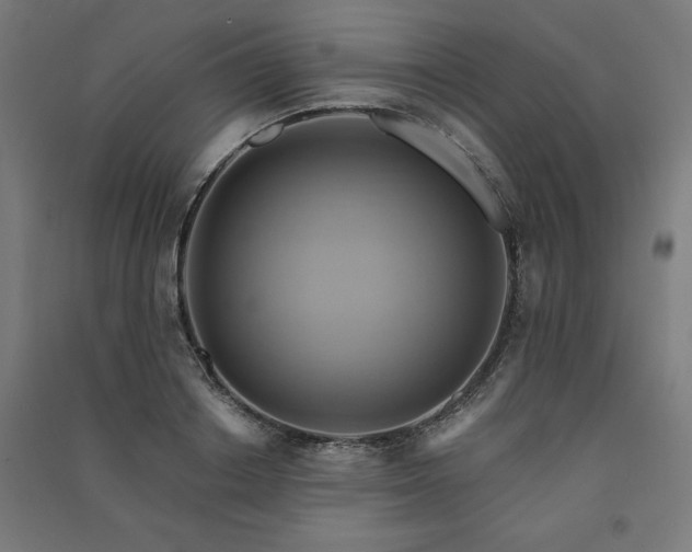 X0000091580842200708201206